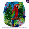 Pañal G4 estampado Ecopipo. Broches. Macao.